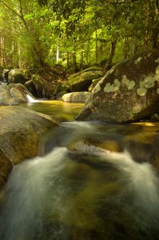 The little waterfall at rainforest national park, Thailand.