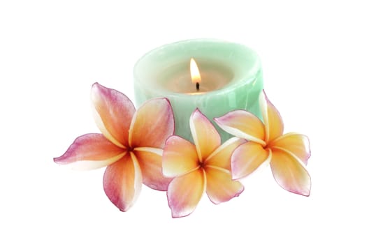 Plumeria flowers and candle isolated on white