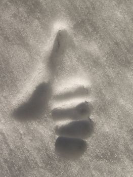 Human hand giving thumbs up in the snow showing success