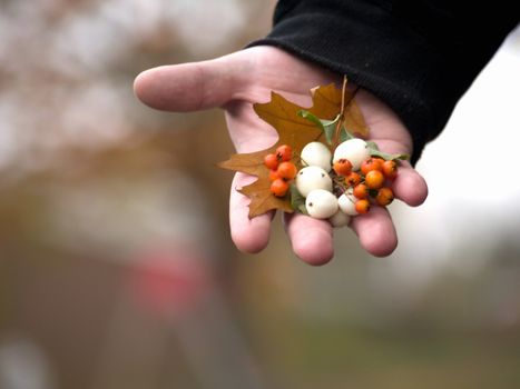 Human hand giving xmas decoration