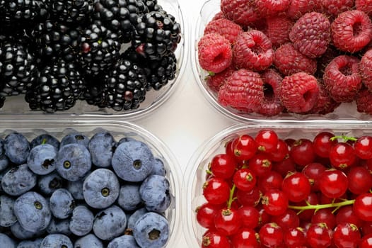 Wild berries: raspberries, blueberries; blackberriues, red currants