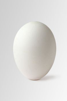 Standing egg with clipping path