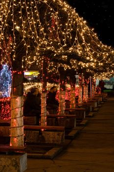 Trees in a plaza adorned with holiday lights