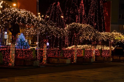 Trees in a plaza adorned with holiday lights