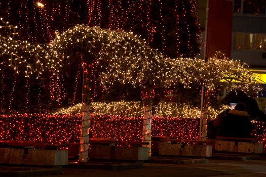 Trees in a plaza adorned with holiday lights