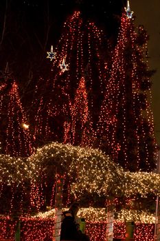 Trees in a plaza adorned with holiday lights