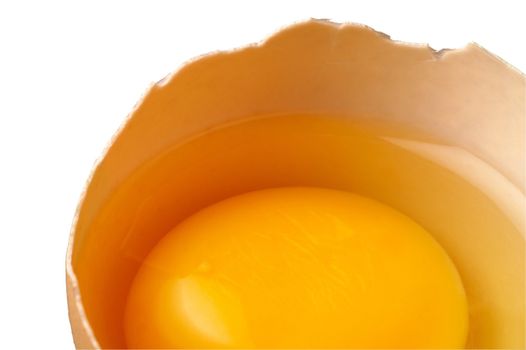 Raw egg in shell closeup