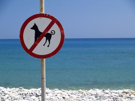 for dogs forbidden sign at a beach