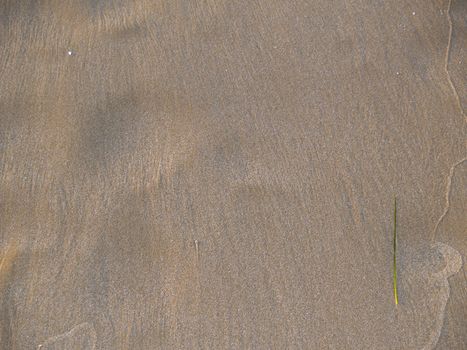 structures in the sand