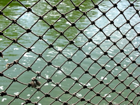 A pattern of a net alongside a lake.