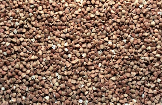 Brown buckwheat background