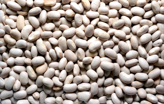 Dried white kidney bean background