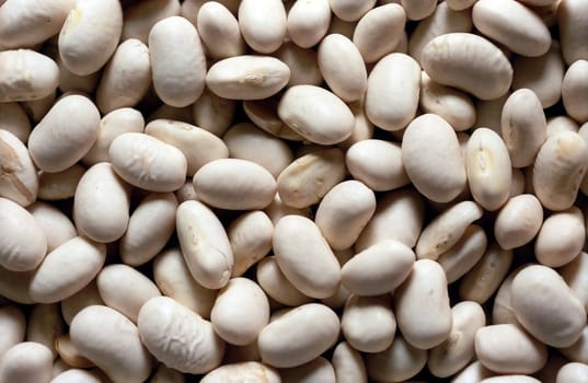 Dried white kidney bean background 