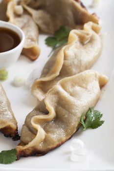 Potstickers appetizer with orange soy sauce.