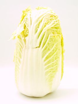 Fresh Chinese cabbage