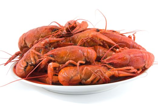 boiled crawfish in a plate, isolated on a white background

