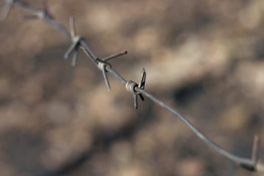 Piece of a barbed wire - small depth of sharpness