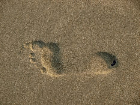 footprints in the wet sand