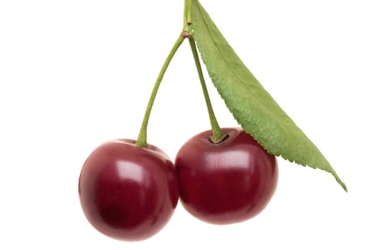 Two ripe cherries on a white background