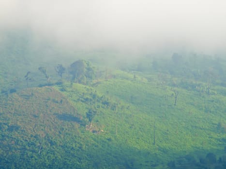 Mountain view Chaeng hill, Chiang rai Thailand