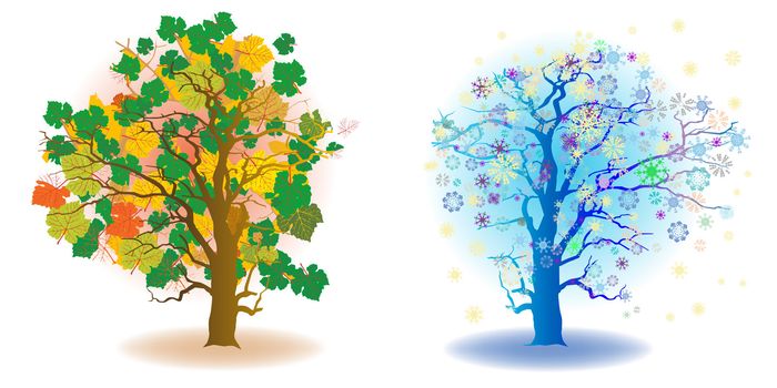 two seasons trees, autum and winter, artistic icons