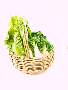 Fresh baby bok choy and cos salad in ratten basket isolated on white background