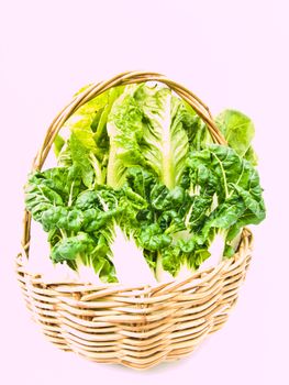 Fresh baby bok choy and cos salad in ratten basket isolated on white background