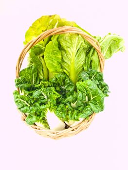 Fresh baby bok choy and cos salad in ratten basket isolated on white background