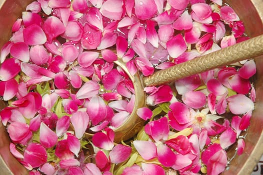 flower petals in water with golden scoop in used in Javanese Indonesia  traditional wedding ceremony