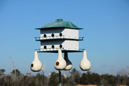 A bird house awaiting its tenants on a bright day