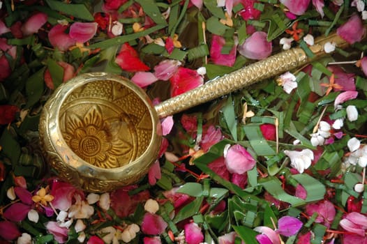 flower petals in water with golden scoop in used in Javanese Indonesia  traditional wedding ceremony