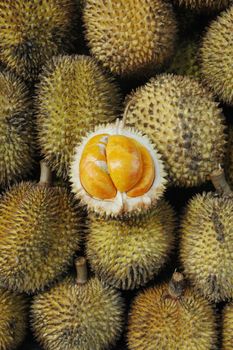 tropical fruits like durian fruit, with smaller size and yellow tropical fruit that is found only in Borneo Indonesia