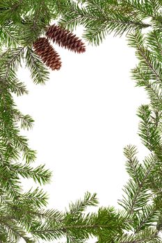 Christmas frame of the branches of pine, isolated on white background
