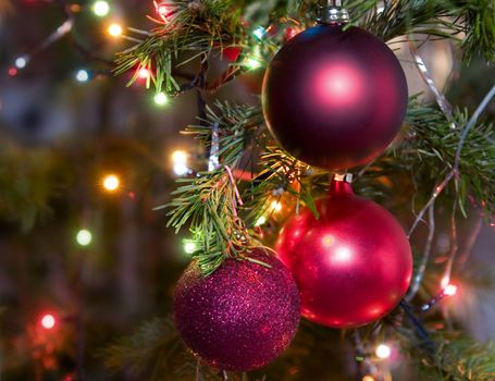 Christmas-tree decorations on a christmas fur-tree