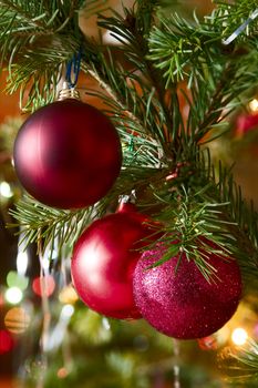 Christmas-tree decorations on a christmas fur-tree