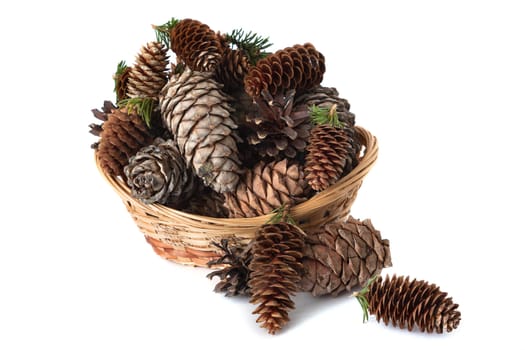 Pine, fur-tree and cedar cones in a basket on a white background
