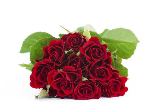 red roses