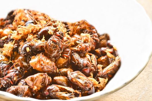 fried insects with garlic in white blow