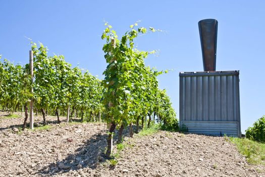 Hail cannon in Italian vineyard, Monferrato and Langhe area, Piemonte region.