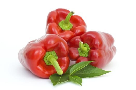 fresh peppers