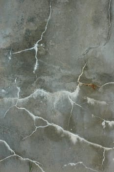 cement wall