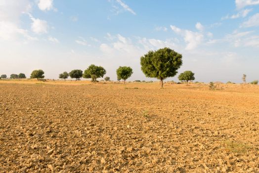 Agricultural ploughed land field under blue sky in thar desert (great indian desert)