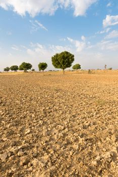 Agricultural ploughed land field under blue sky in thar desert (great indian desert)