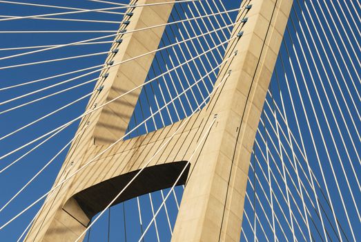 Vasco da Gama bridge is the largest in Europe over the Tagus river