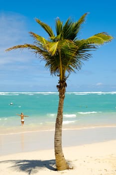 Palm on exotic caribbean beach with the coast in the background. In the water a woman is going to swim.