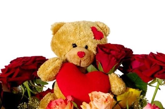 Bouquet of rose flowers isolated on white background. A teddy bear is sitting ontop of the flowers.