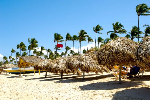 Parasols on exotic beach and palms in the background.