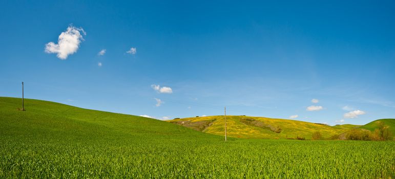 Panorama of Green Sloping Meadows of Tuscany