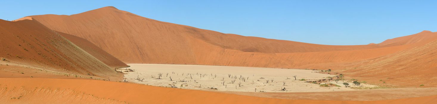 Panorama from six photos at Deadvlei near Sossusvlei,  Namibia