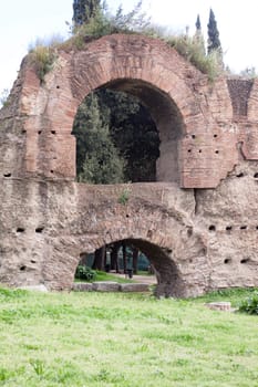 Several stone-pines and grass near ruins in Rome
